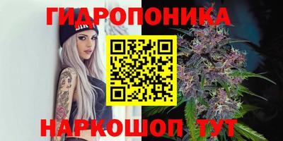 spice Гуково