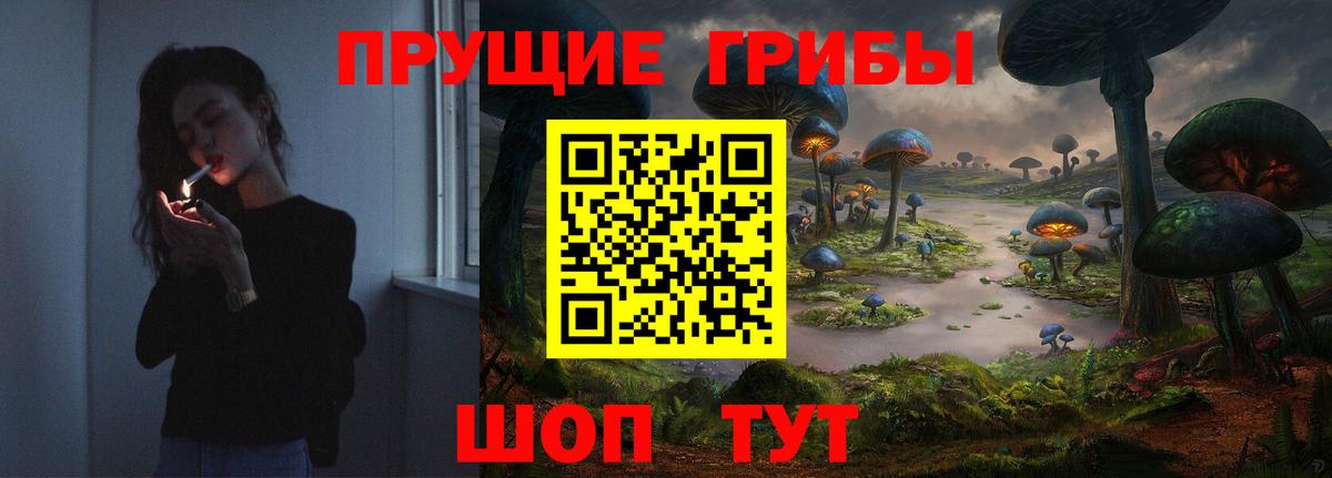 Галлюциногенные грибы Psilocybine cubensis Воткинск